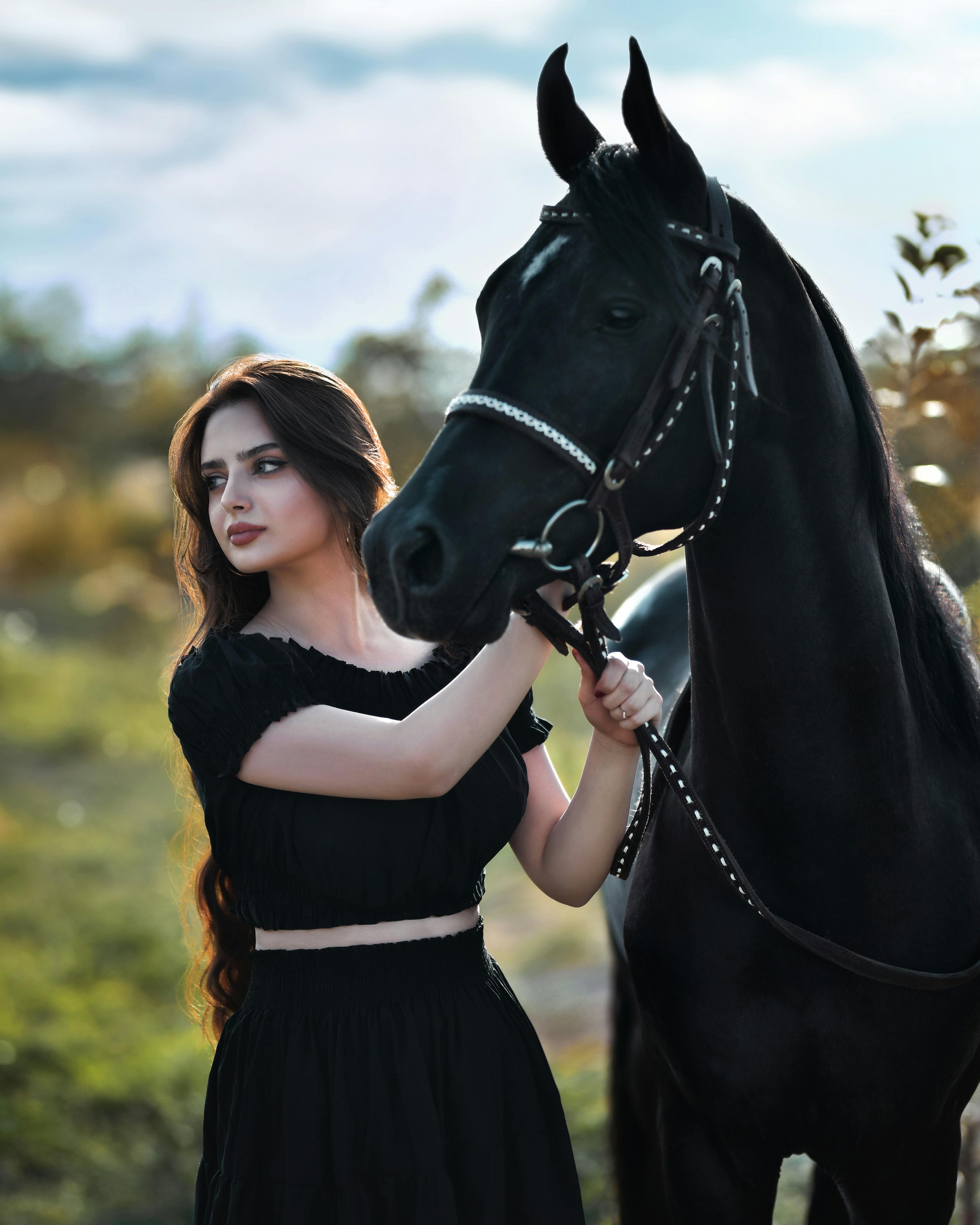 Woman in Black Dress Holding the Black Horse · Free Stock Photo