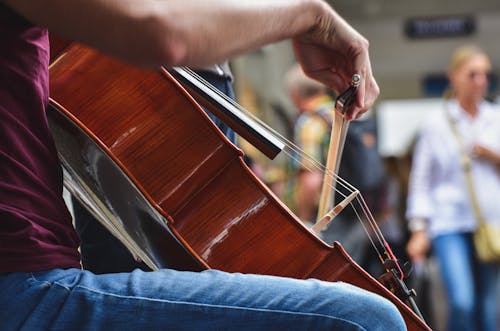 Gratis arkivbilde med bein, cello, gatemusiker