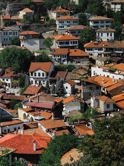 Aerial View of Houses in a Village