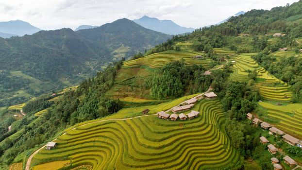 Scenic aerial view of lush rice terraces in Hoàng Su Phì, Ha Giang, Vietnam.
