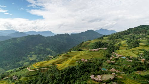 Free Aerial View of Rice Terraces Stock Photo