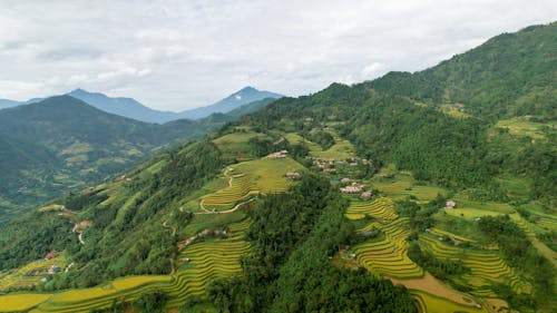 Darmowe zdjęcie z galerii z góra, gospodarstwo, ha giang