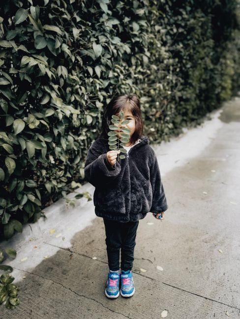 A child stands outdoors holding a leafy stem, surrounded by green foliage on a rainy day.