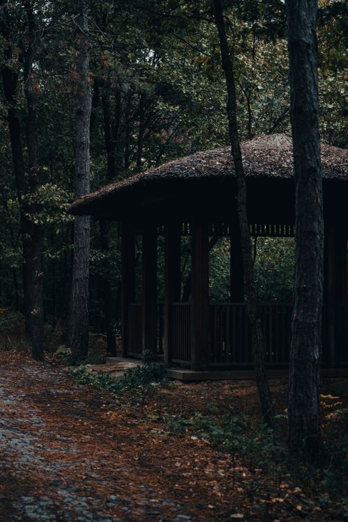 Free A tranquil wooden gazebo amidst autumn leaves in an Istanbul forest, offering a peaceful retreat. Stock Photo