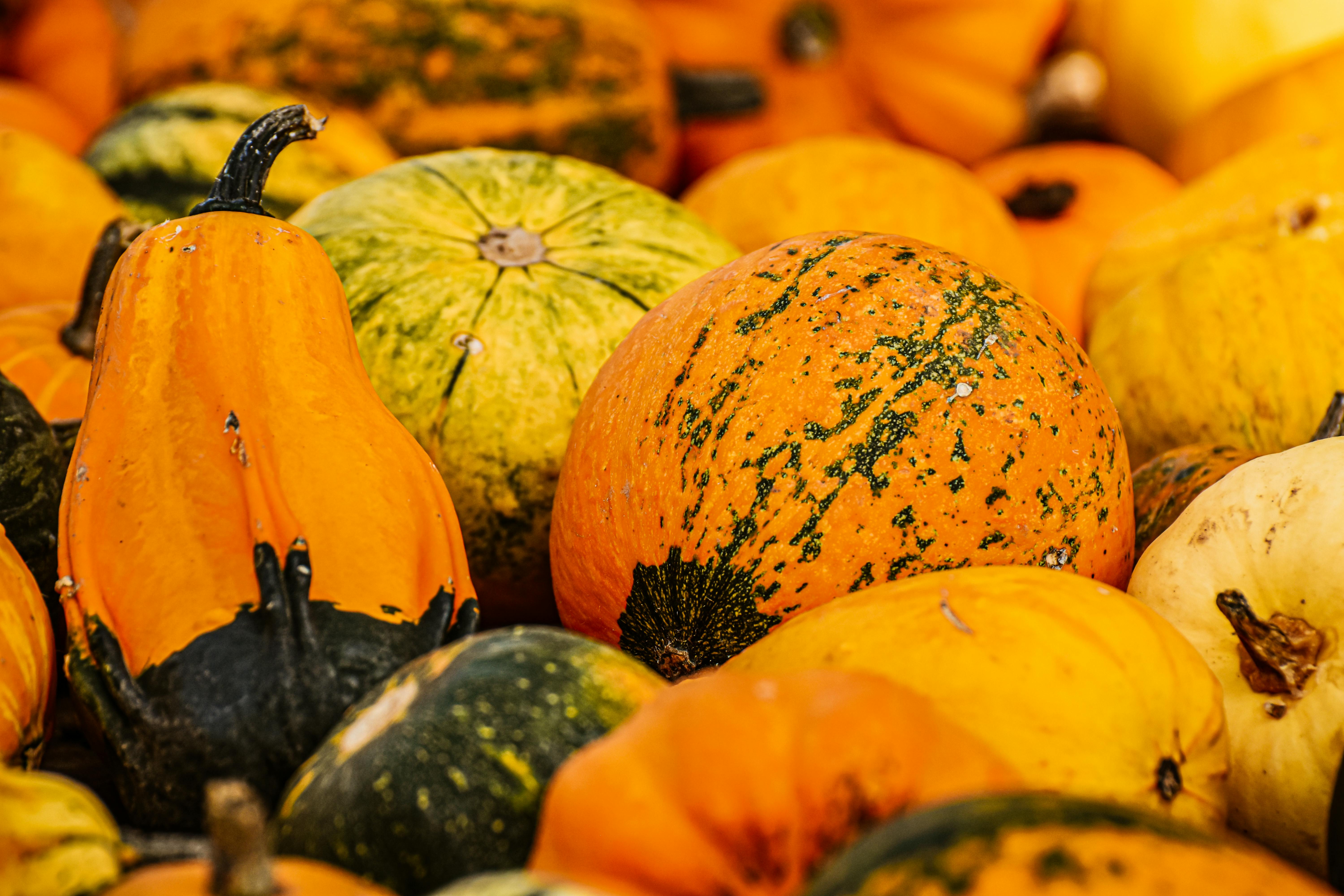 Close-Up Photography of A Pumpkin · Free Stock Photo
