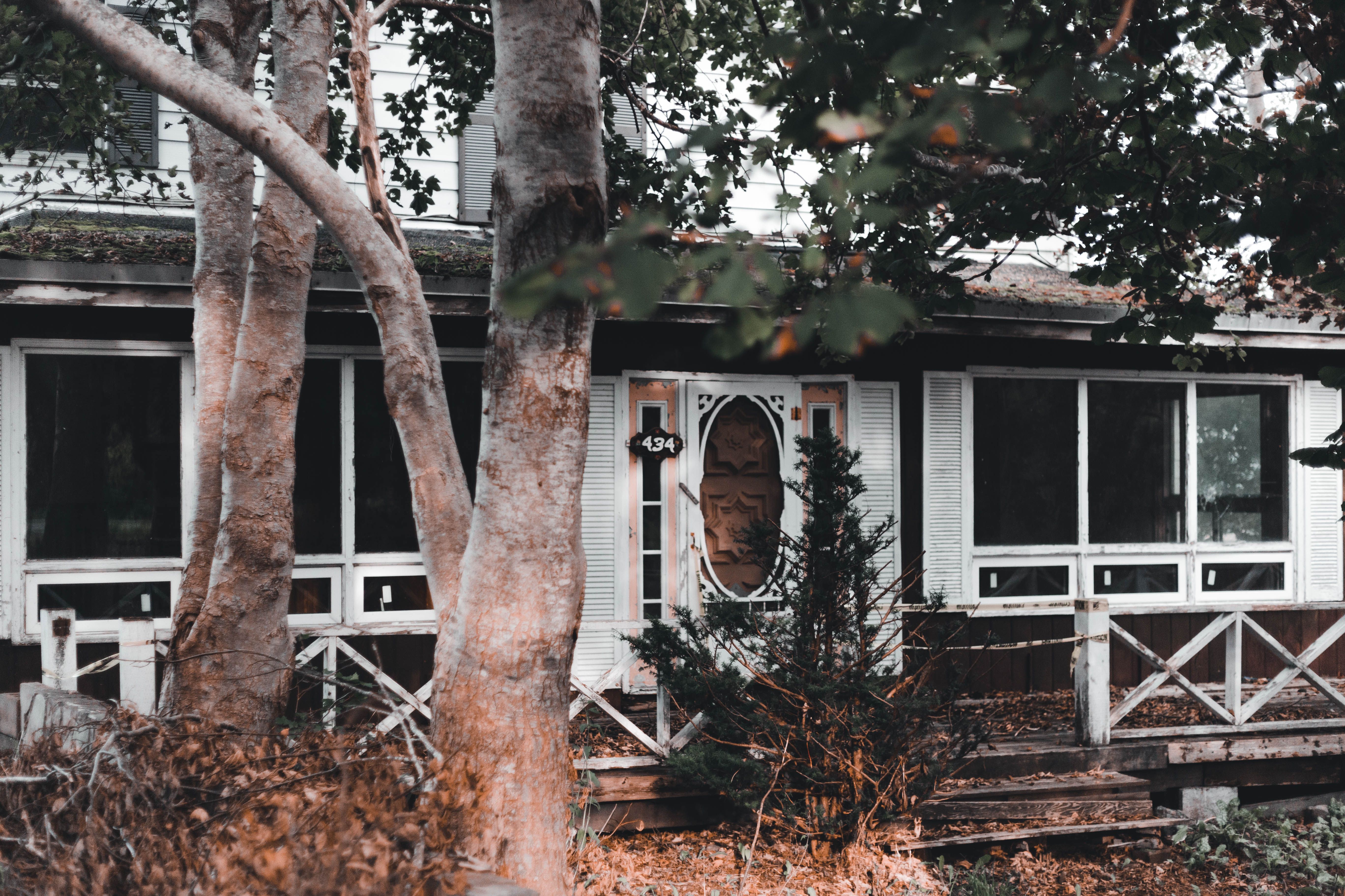 TVA offers free home energy kit, smart thermostat and gift cards through EnergyRight program — Photo by Erik Mclean on Pexels