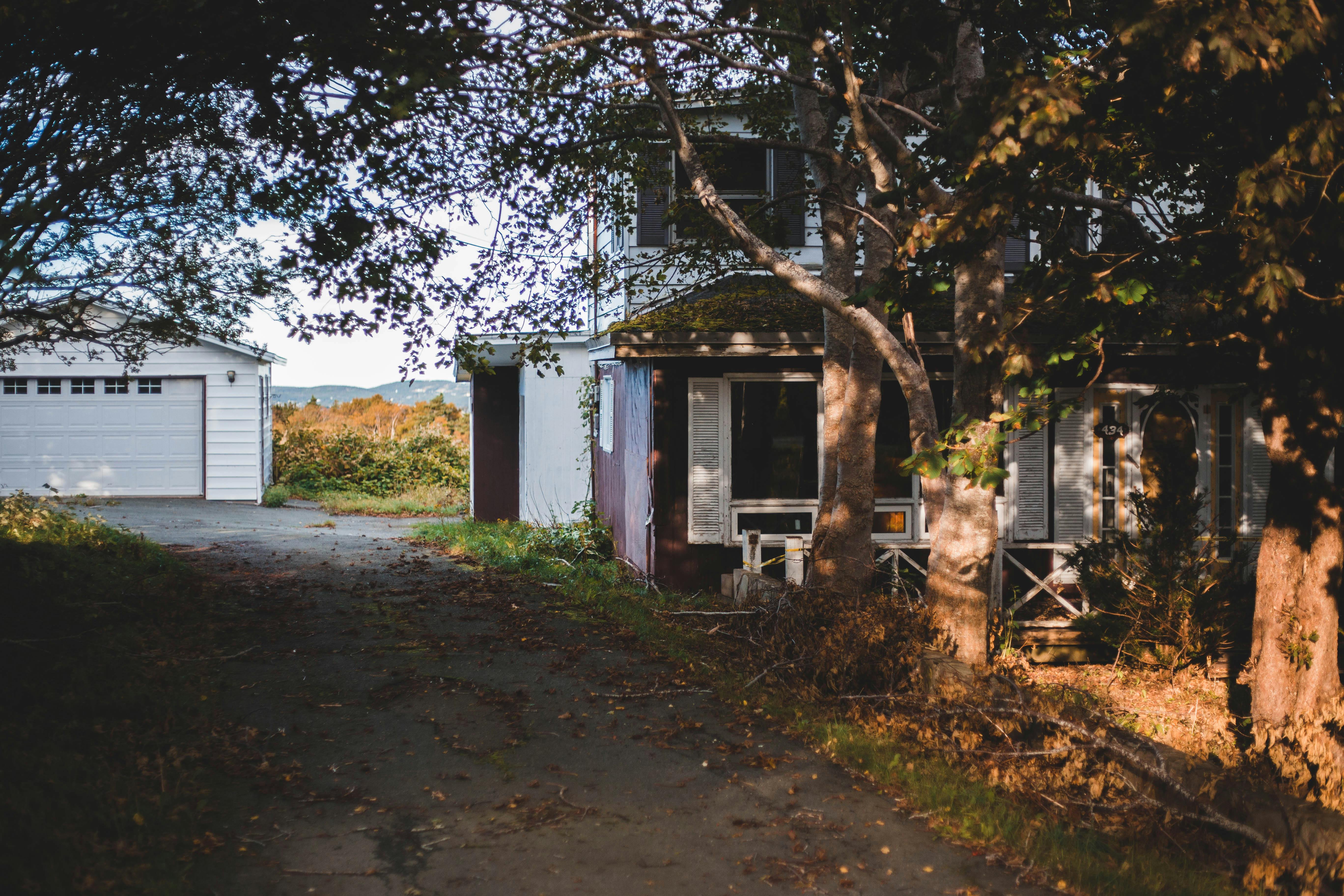 Why we fell out of love with home improvement shows | Sam Wolfson — Photo by Erik Mclean on Pexels