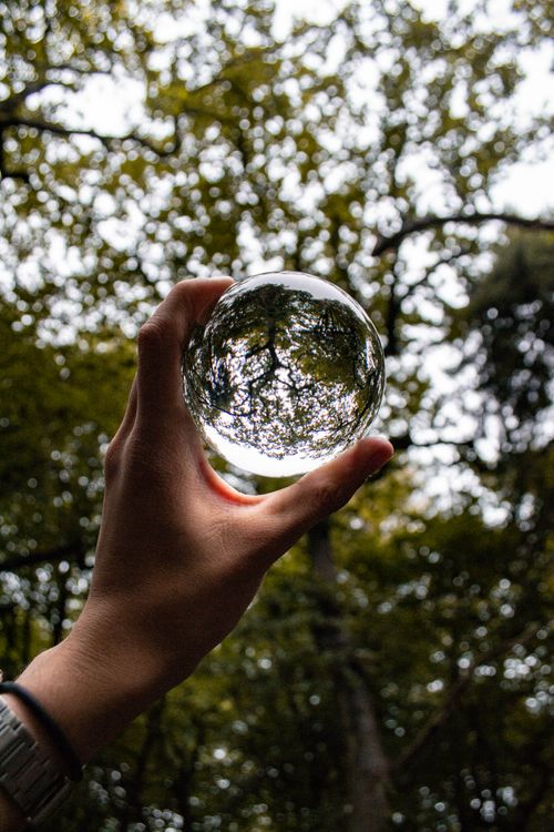 Free Close-up shot of a hand holding a lensball reflecting forest trees, capturing nature creatively. Stock Photo