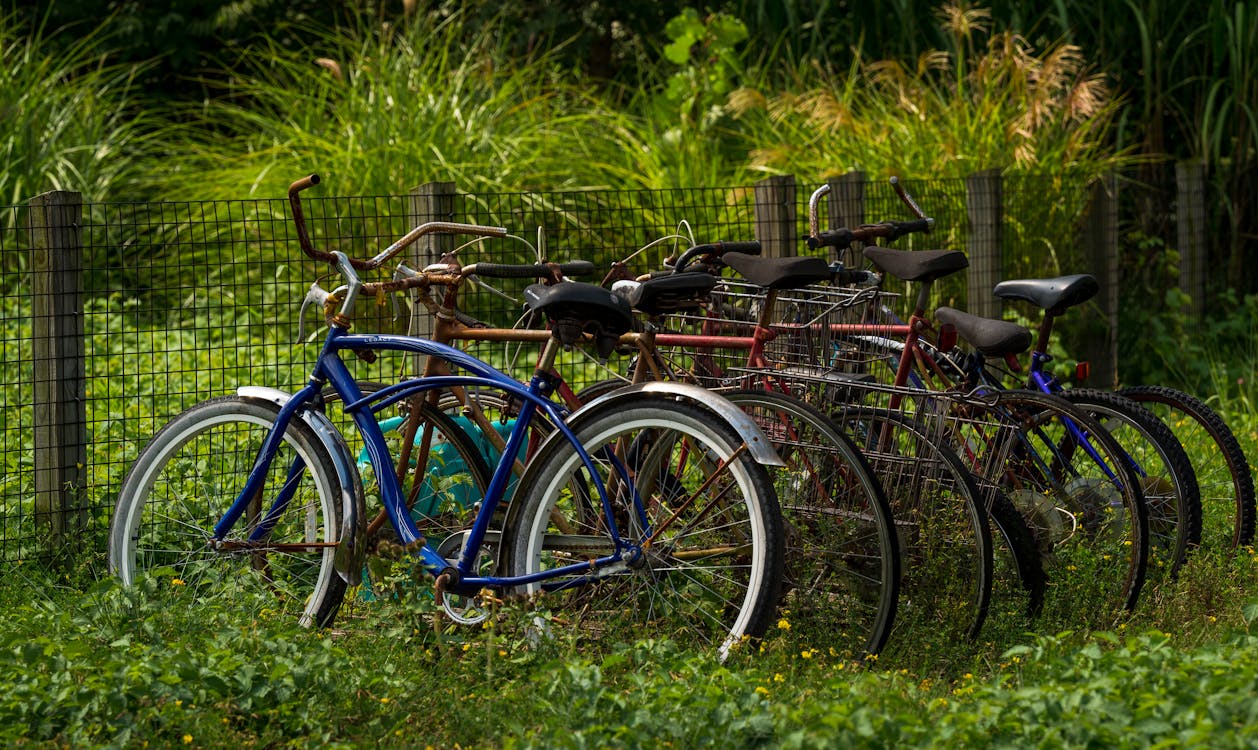 Bicycles Parked on a Grassy Field · Free Stock Photo