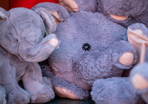 Free Charming close-up of plush elephant toys showcasing their soft textures and vibrant colors. Stock Photo