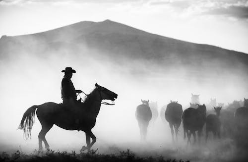 Grayscale Photo of Man Riding Horse