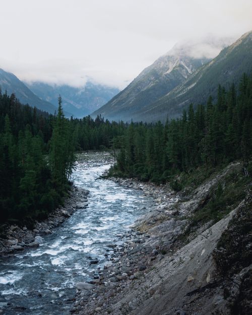 Free Breathtaking view of a river flowing through a lush forest with majestic mountains in the background shrouded in clouds. Stock Photo