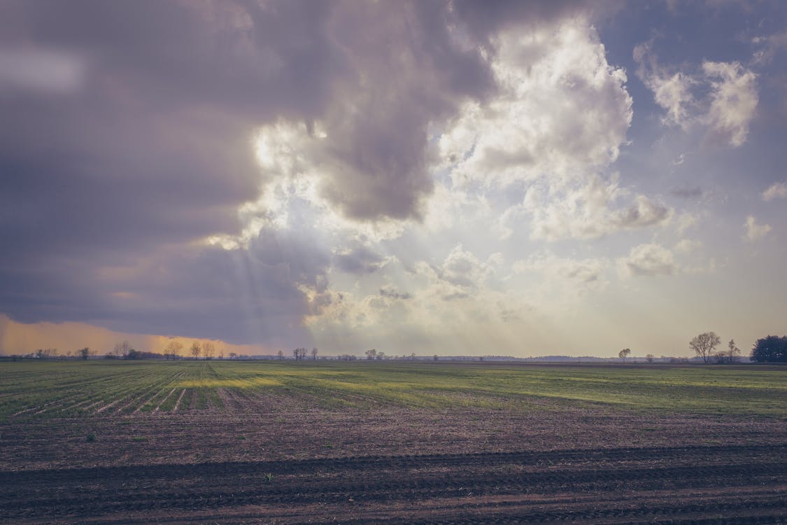 Фотография зеленого поля под пасмурным небом