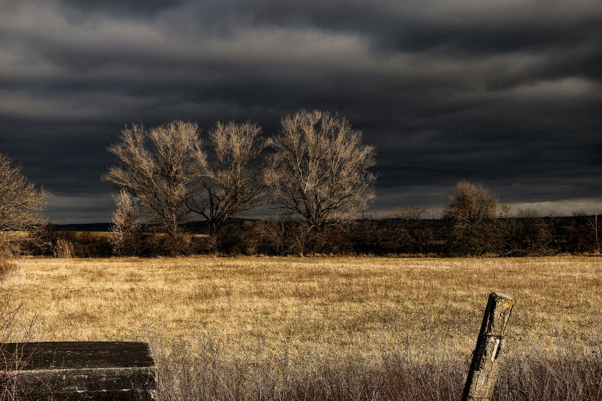 Scenic view of a countryside field with dark storm clouds overhead, capturing a moody and dramatic atmosphere.