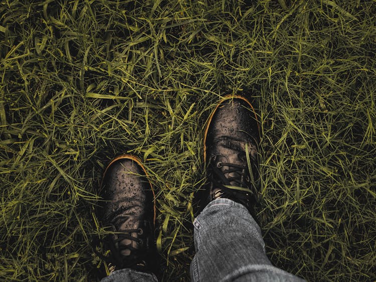 Overhead Shot Of A Person With Wet Shoes Standing On Grass