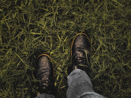 Free A top view of leather shoes on lush, wet grass showcasing outdoor adventure. Stock Photo