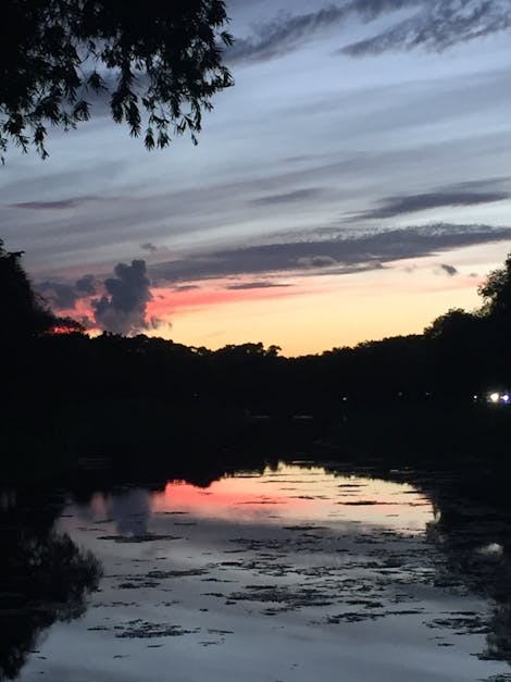 Free stock photo of lakeside, sunset, water