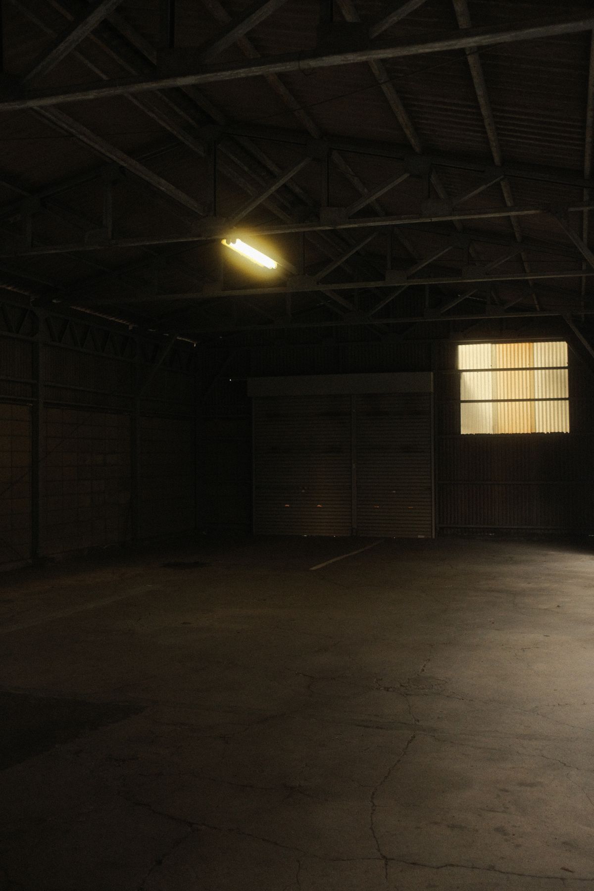 Dark steel shed interior with a single weak fluorescent batten above a roller door, most of the floor in shadow