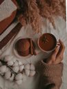 Person Holding Brown Ceramic Mug with Chai Hot Cocoa Beside  Chocolate Cookies
