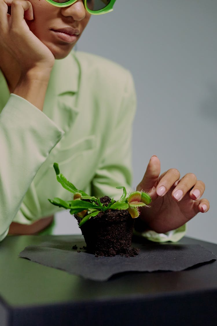 Woman Touching Venus Flytrap