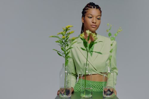 Free Elegant woman in green outfit with vases and plants, studio portrait. Stock Photo