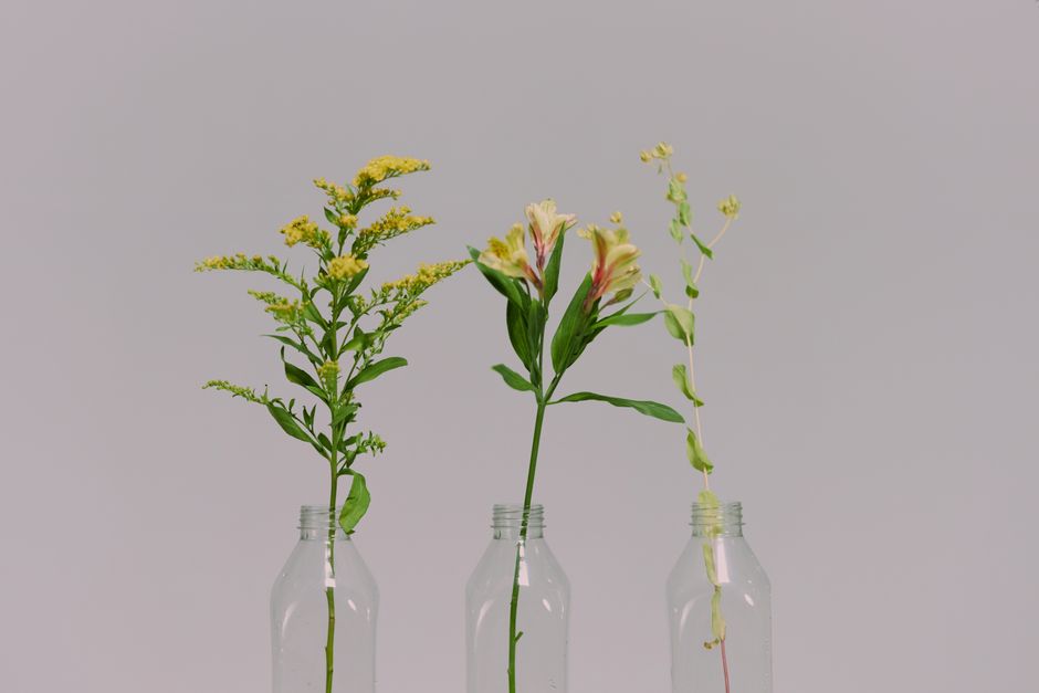 three anti colic bottles lined up side by side comparison