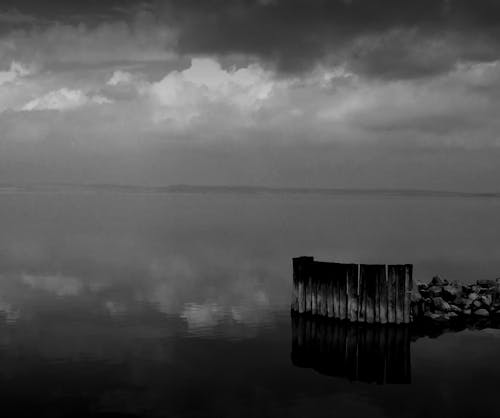 bezplatná Základová fotografie zdarma na téma černobílý, jezero, mlha Základová fotografie