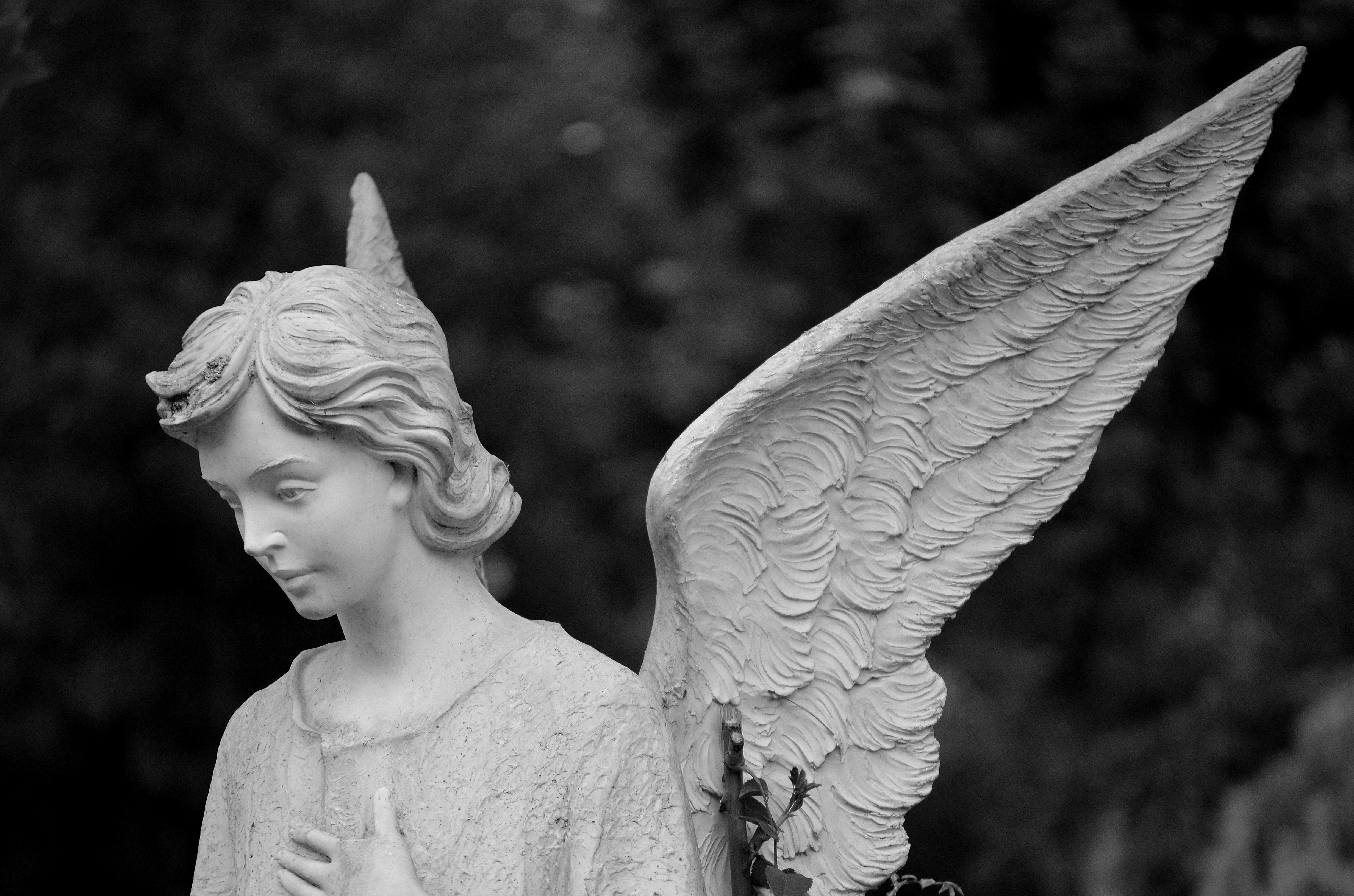 2,000+ Best Angel Photos · 100% Free Download · Pexels Stock Photos