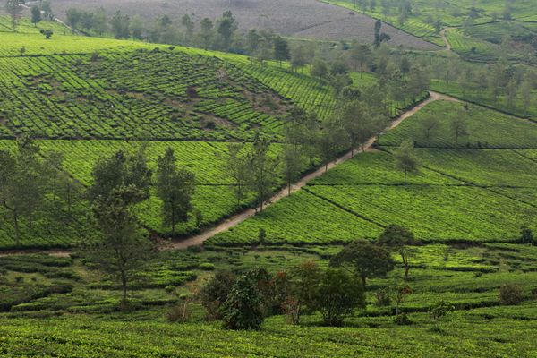 Kanyakumari package from Coimbatore