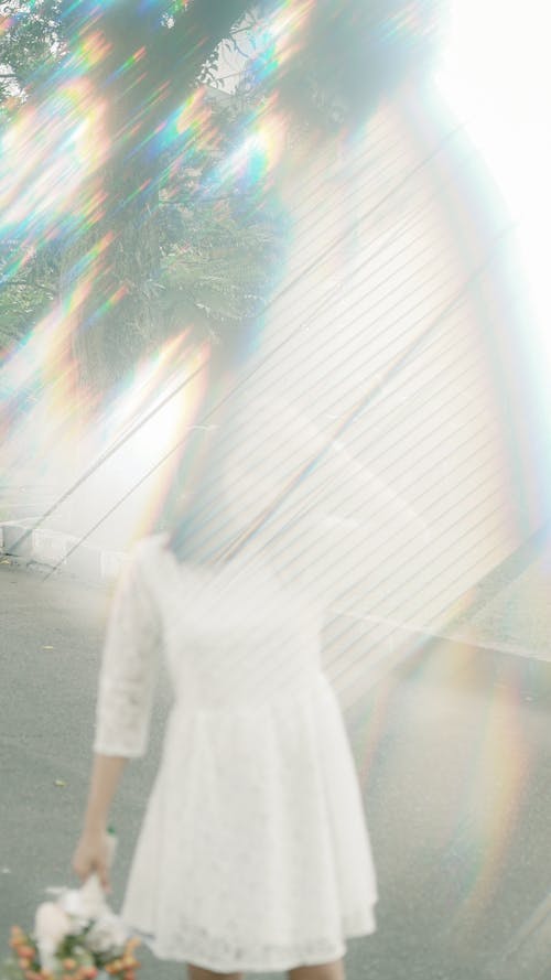 Blur on a Photo of a Woman in a Dress