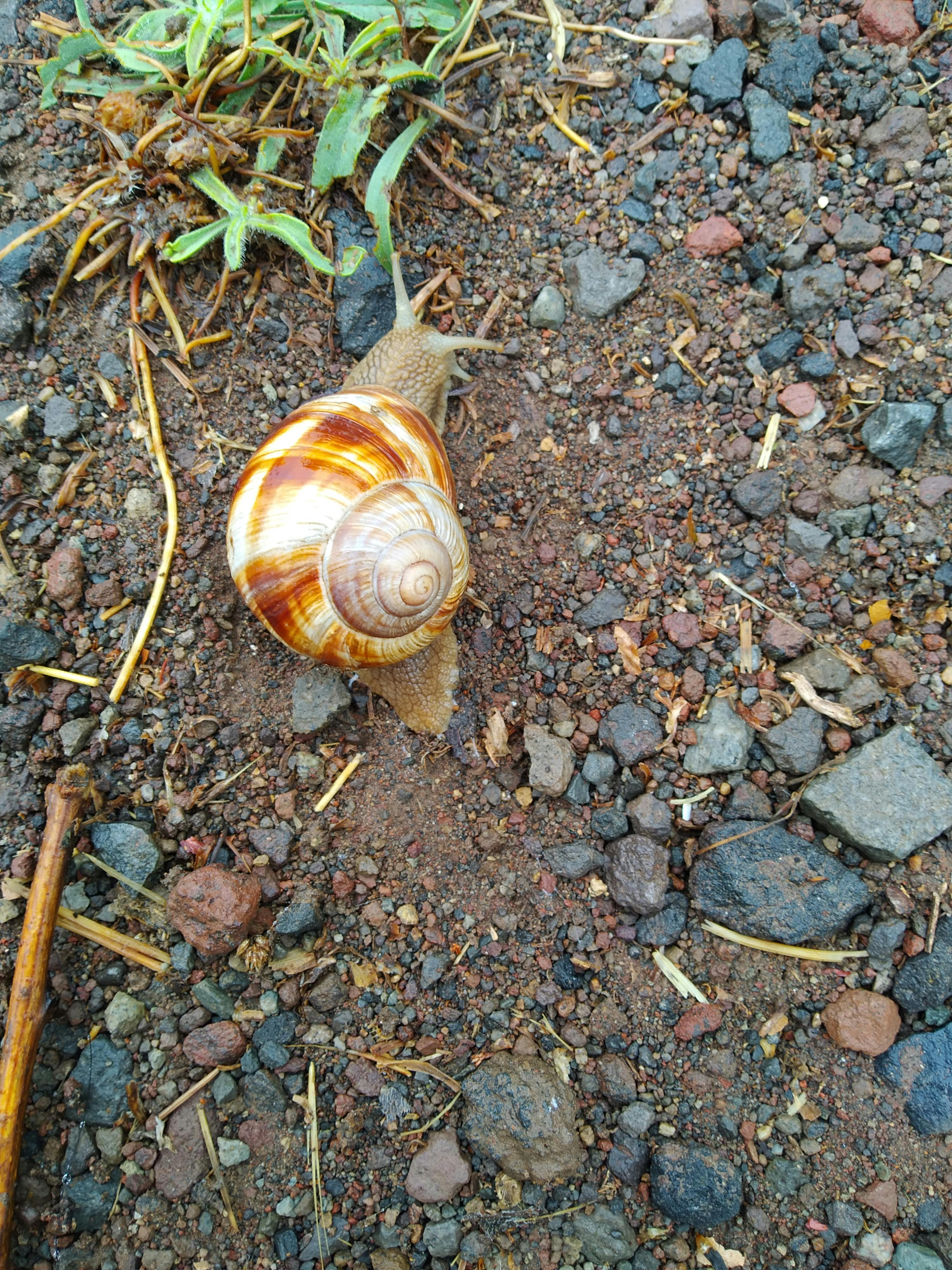 pexels-photo-9772033.jpeg?auto=compress&cs=tinysrgb&dpr=1&w=500