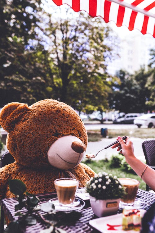 Free A Brown Bear Plush Toy Sitting in Front of the Table Stock Photo