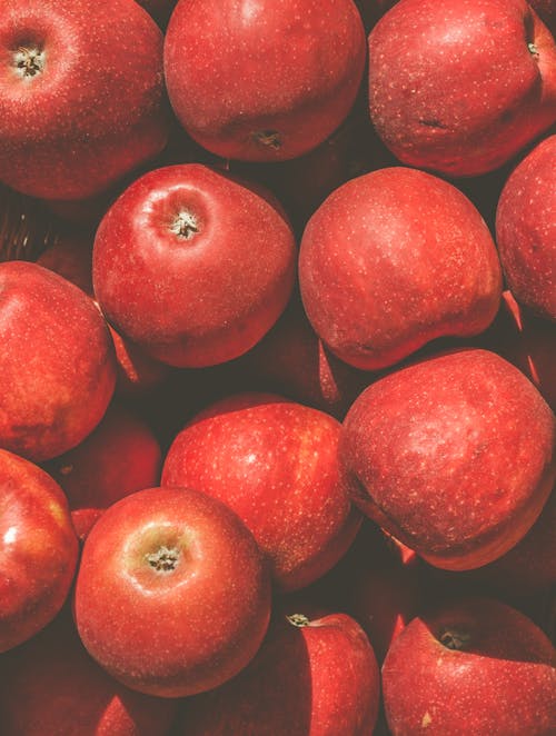 Gratis arkivbilde med epler, frukt, mange