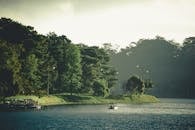 田园诗般的湖泊、船只，以及朦胧天空下郁郁葱葱的绿色森林，非常适合自然爱好者