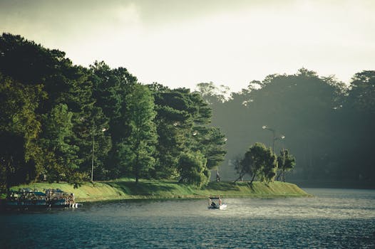田园诗般的湖泊、船只，以及朦胧天空下郁郁葱葱的绿色森林，非常适合自然爱好者