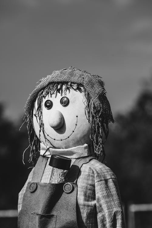 Free Black and White Picture of a Scarecrow Stock Photo