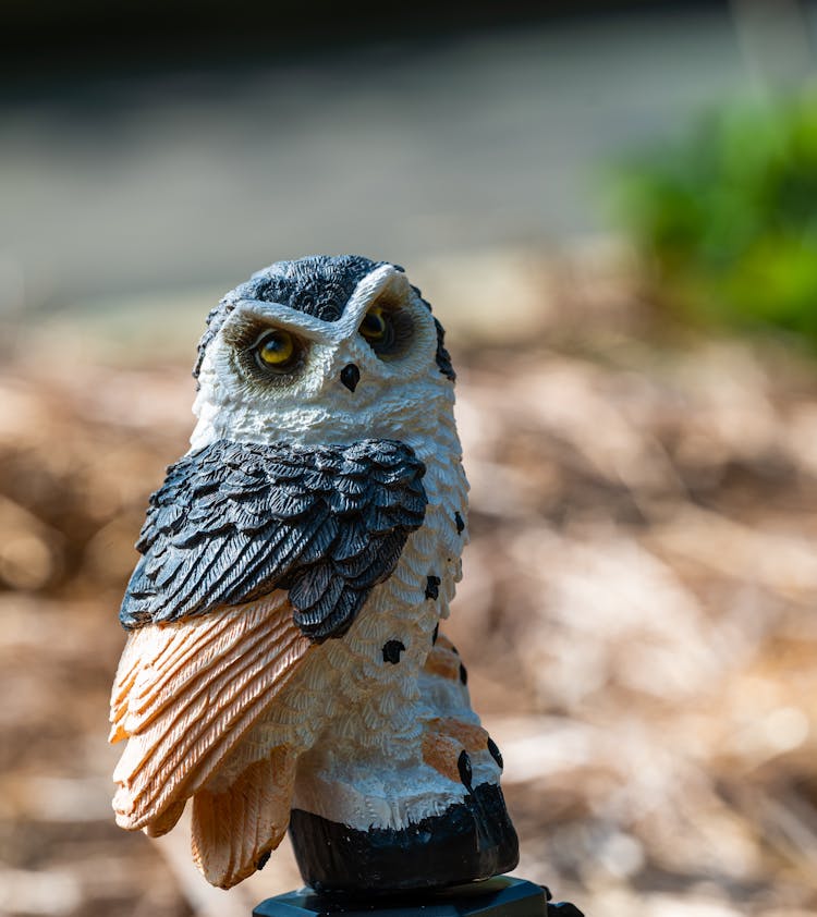 Figurine Of An Owl 