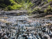 清澈的溪流流过岩石，阳光在茂密的森林中反射出闪闪的光芒