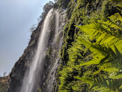 Waterfalls During Daytime