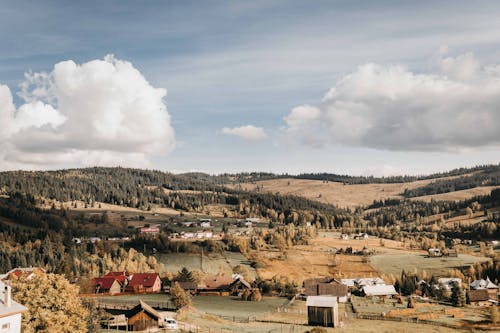 Free Houses on a Rural Area Stock Photo