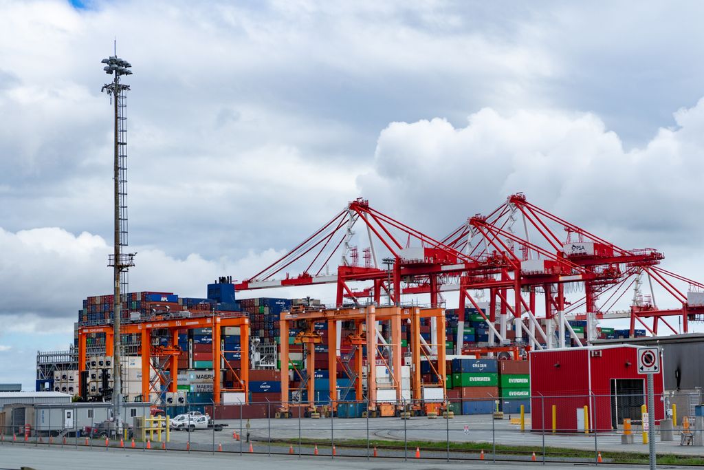 Harbour cranes at a cargo port