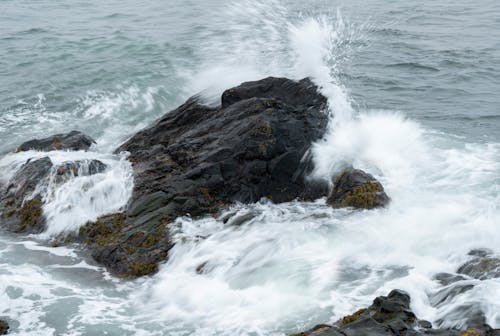 Free stock photo of rock, sea, splash