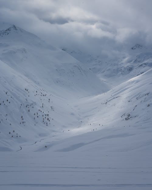 Gratis arkivbilde med alpin, fjell, forkjølelse