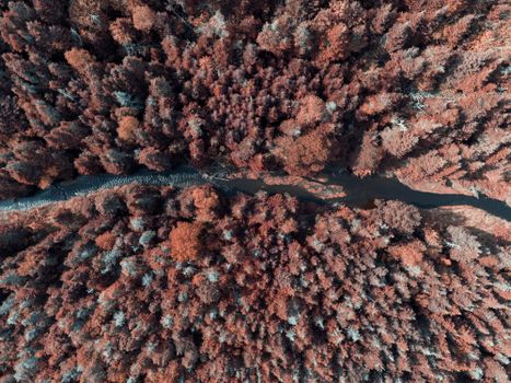 Stunning aerial view of a fall forest with a winding river stream cutting through vibrant foliage.
