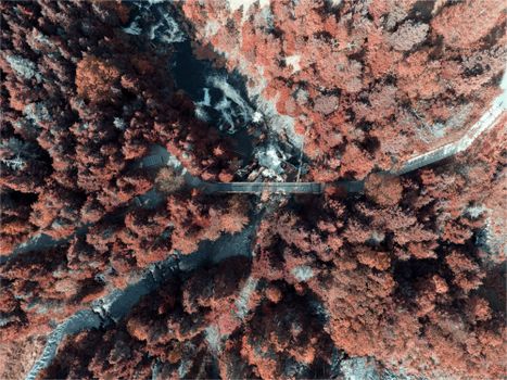 High-angle drone shot capturing a vibrant autumn forest with a meandering river.