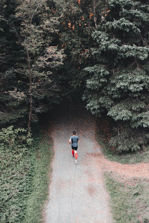 Gratis stockfoto met eigen tijd, fitness, fitness en gezondheid