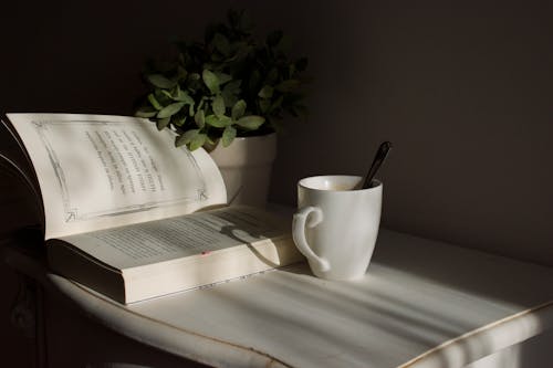 White Ceramic Beside a Book