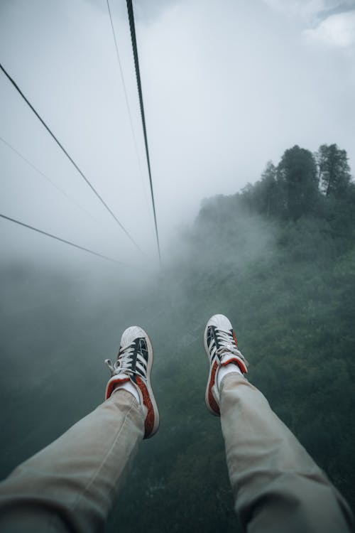 Foto profissional grátis de abismo, árvores verdes, aventureiro