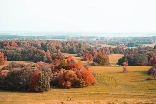 Drone Shot of a Serene Landscape