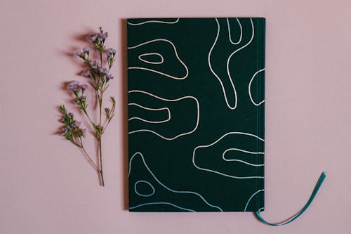 Kostenloses Stock Foto zu aufsicht, blumen, flatlay